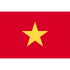 vn